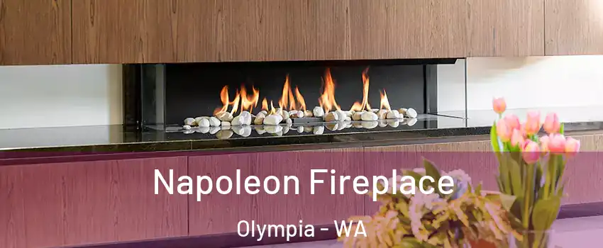  Napoleon Fireplace Olympia - WA