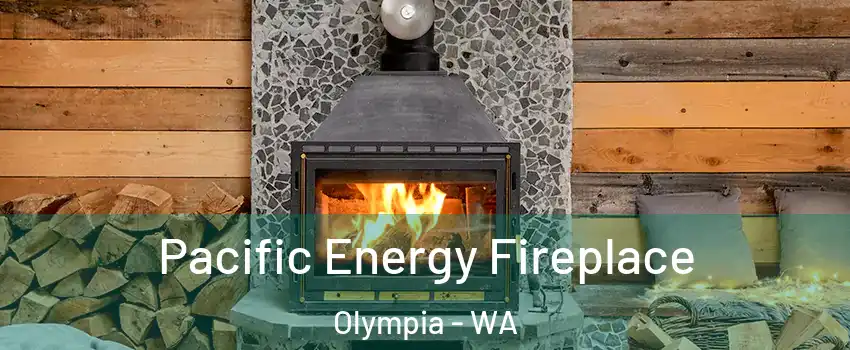  Pacific Energy Fireplace Olympia - WA