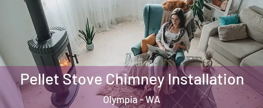  Pellet Stove Chimney Installation Olympia - WA