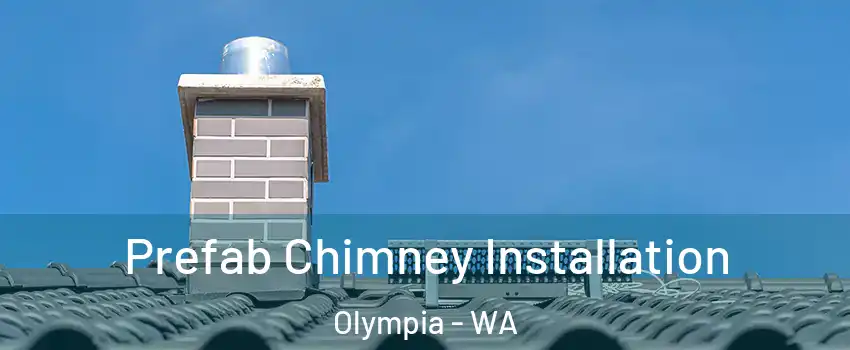  Prefab Chimney Installation Olympia - WA