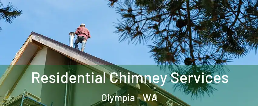  Residential Chimney Services Olympia - WA