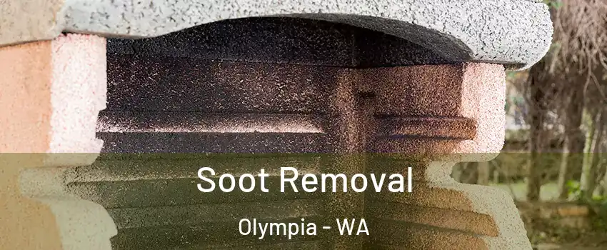  Soot Removal Olympia - WA