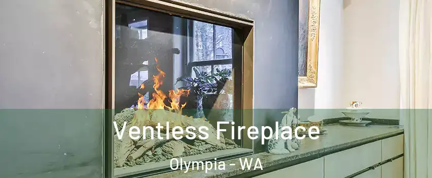  Ventless Fireplace Olympia - WA