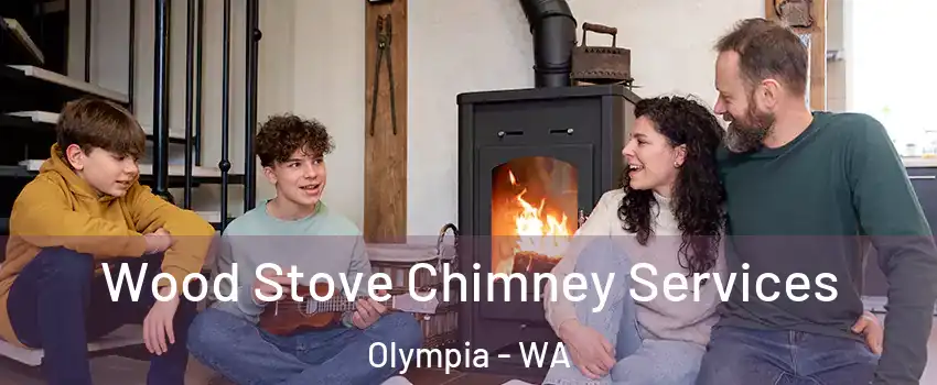  Wood Stove Chimney Services Olympia - WA