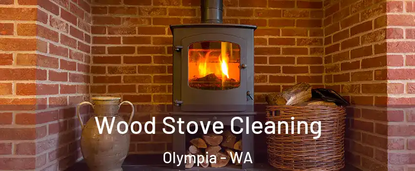  Wood Stove Cleaning Olympia - WA